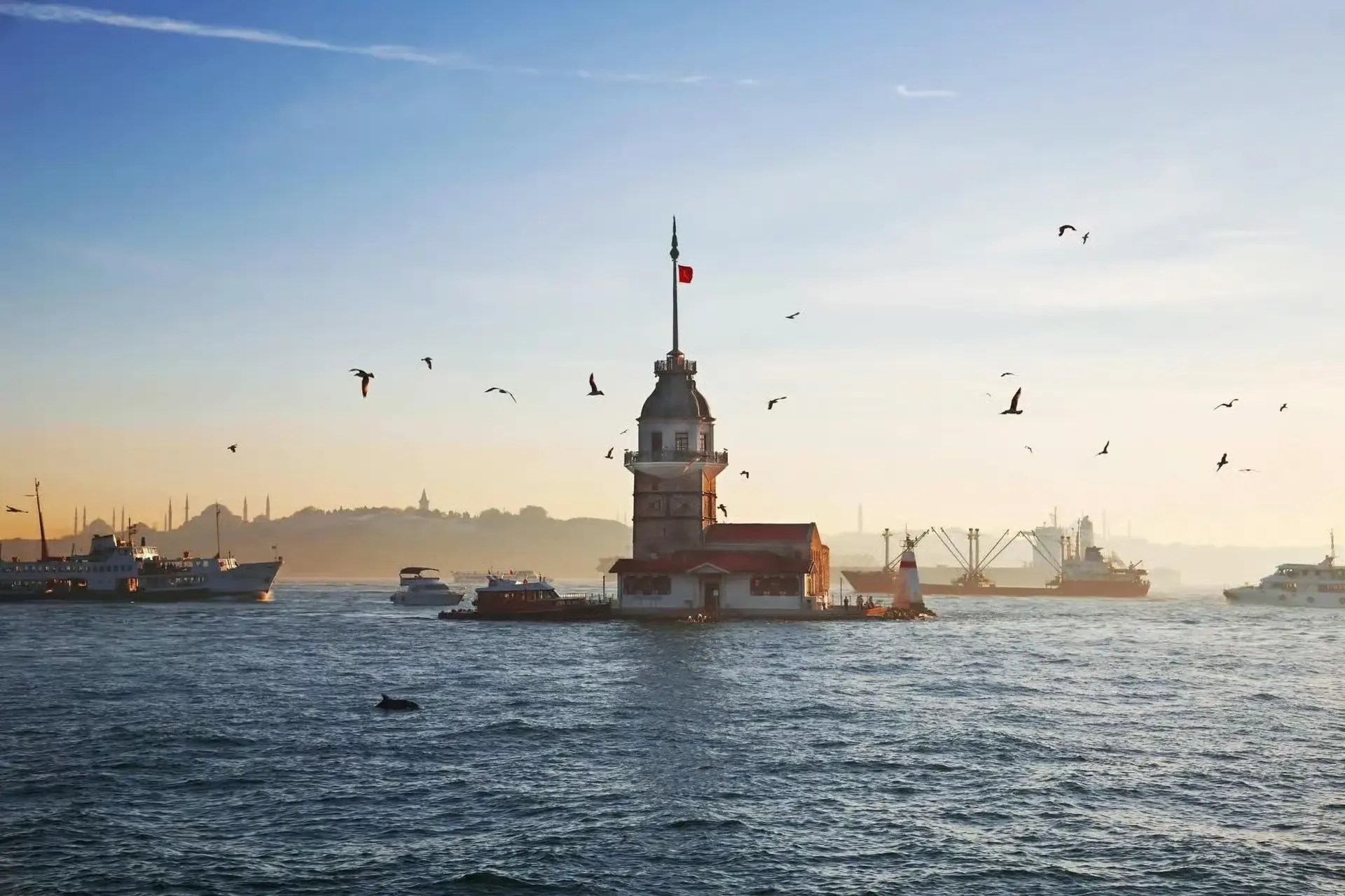 Istanbul Dınner Curise